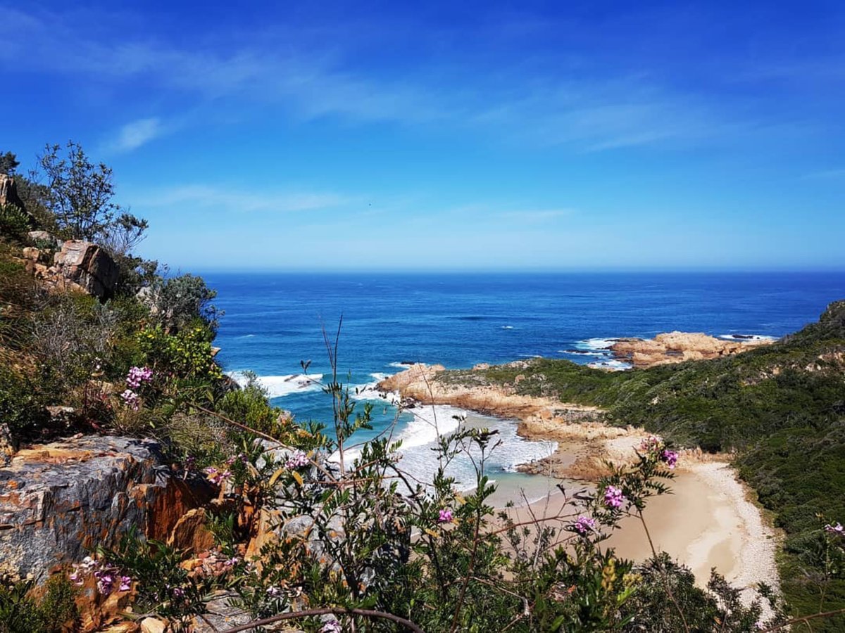Looking for a weekend adventure? Give the Fisherman's Path Sparrebosch Trail a go. It’s a beautiful walk mere minutes from Knysna town, through the forest and fynbos down to a secluded bay.☀️⛱ #VisitKnysna 
⏱ 5km
💵 Walk is free
📸 Instagram.com/tanjabantjes
