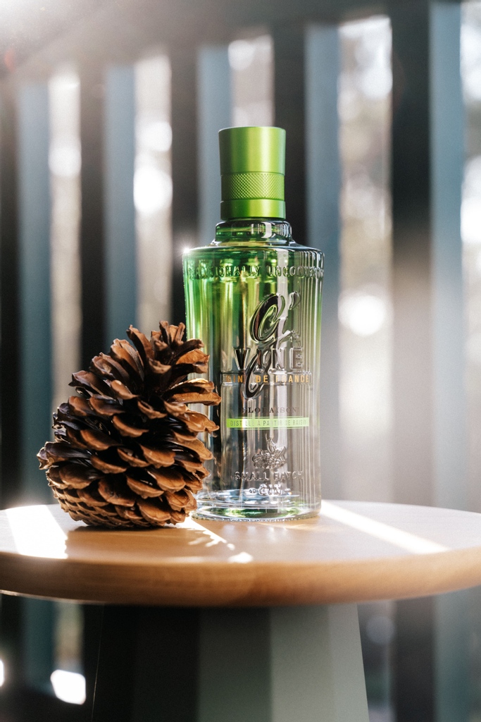 G'Vine Gin tweet media
