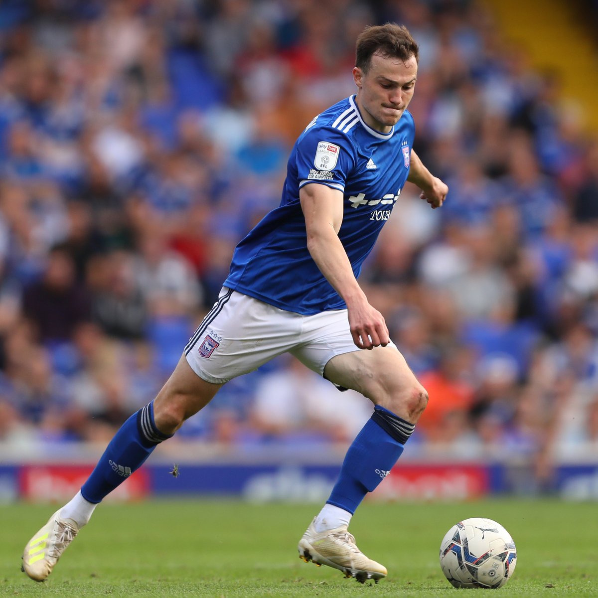 Ipswich Town tweet media