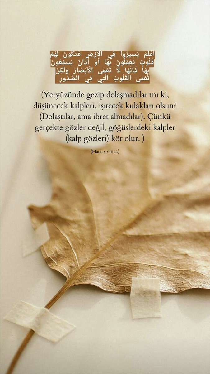 AYET PAYLAŞALIM
Yeryüzünde gezip dolaşma dılar mu ki .
Düşünecek kalpleri işitecek kulakları olsun .
Dolaştılar ama ibret almadılar. Çünkü gerçekte gözler değil göğüslerdeki kalpler kalp gözleri kör olur.