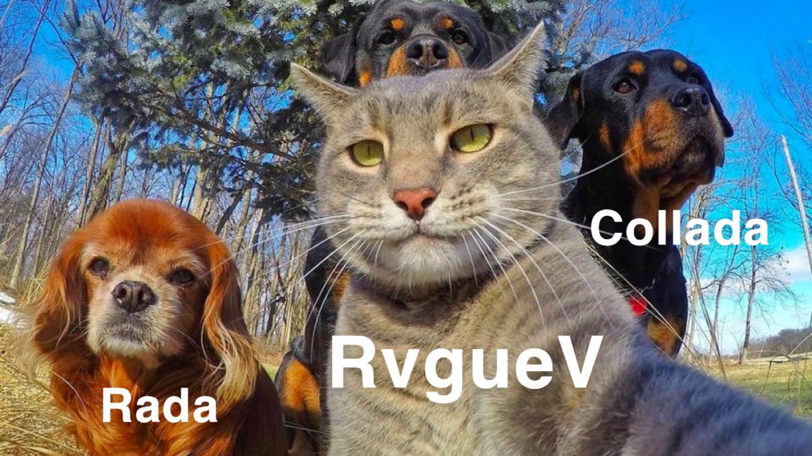 RvgueV's tweet photo. Le trio https://t.co/a7cayeIGyf