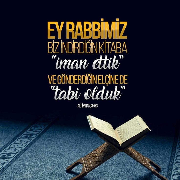 AYET PAYLAŞALIM
🌺🌺🌺🌺🌺🌺🌺🌺