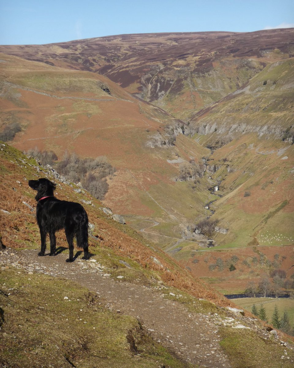 MARK CORNER tweet media