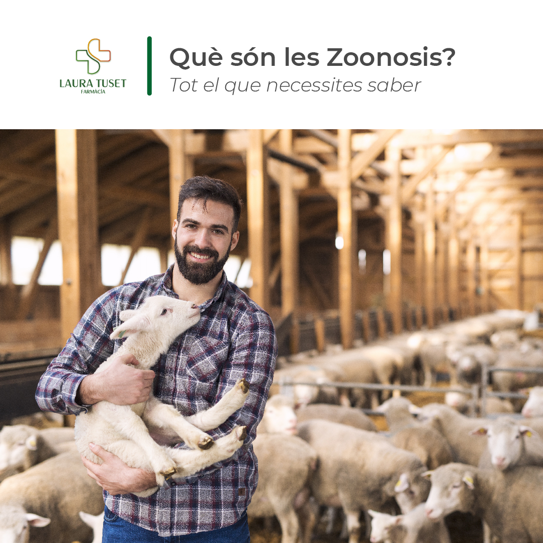 farmaciatuset's tweet photo. Les zoonosis són les malalties que es transmeten entre animals i humans ja sigui de manera directa, o bé indirecta a través dels aliments, aigua, o bé a través de mosquits, o altres insectes que anteriorment han picat a un animal infectat.

#farmacia #vilaseca #zoonosi #animals https://t.co/MrZNBIOi7m