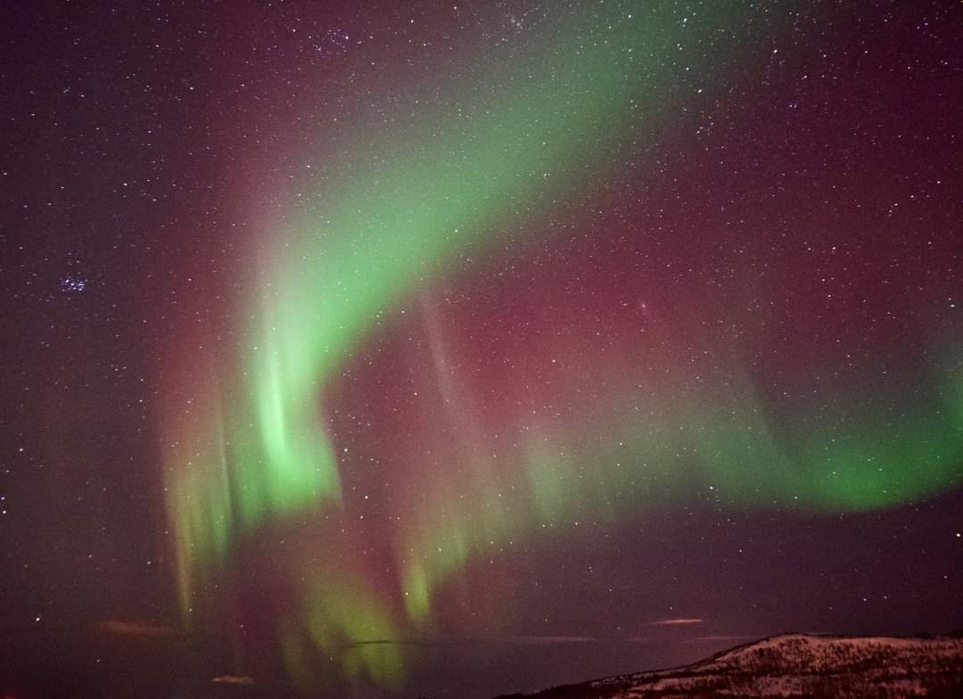 gary_roots's tweet photo. The Northern lights taken at Finnkroken and Skrolsvik on our Norwegian trip a couple of weeks ago..... stunning see . #Norway @NorLightsTromso https://t.co/VIOI7vsv8N