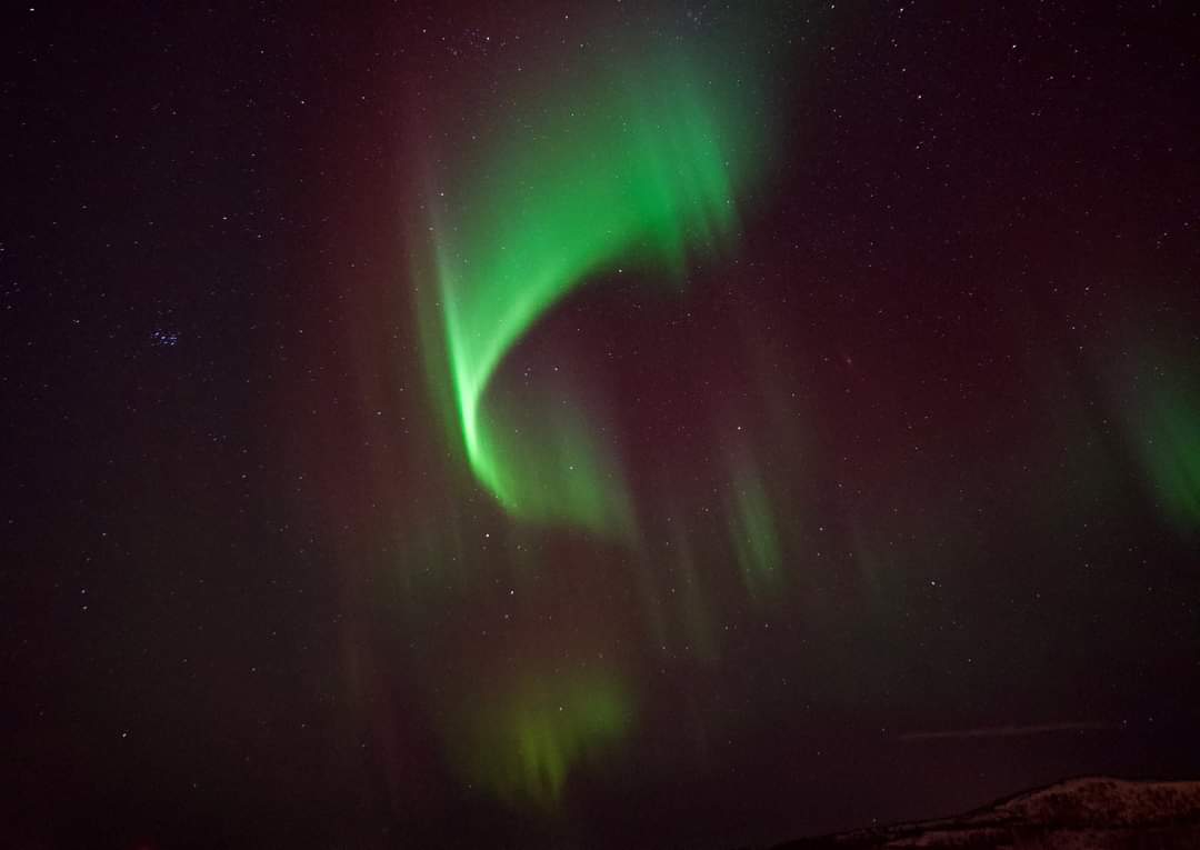 The Northern lights taken at Finnkroken and Skrolsvik on our Norwegian trip a couple of weeks ago..... stunning see . #Norway @NorLightsTromso