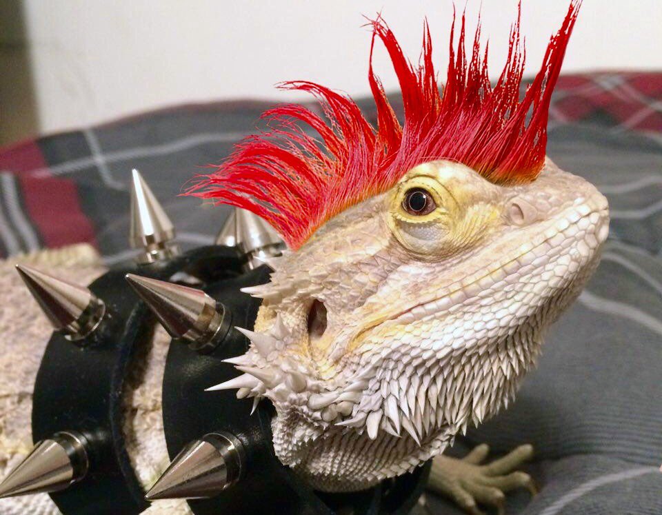 No context spoilers for the upcoming capstone games from FIEA👀 
#UnrealEngine #indiedev #UE4 #MadeWithUnreal #gamedev