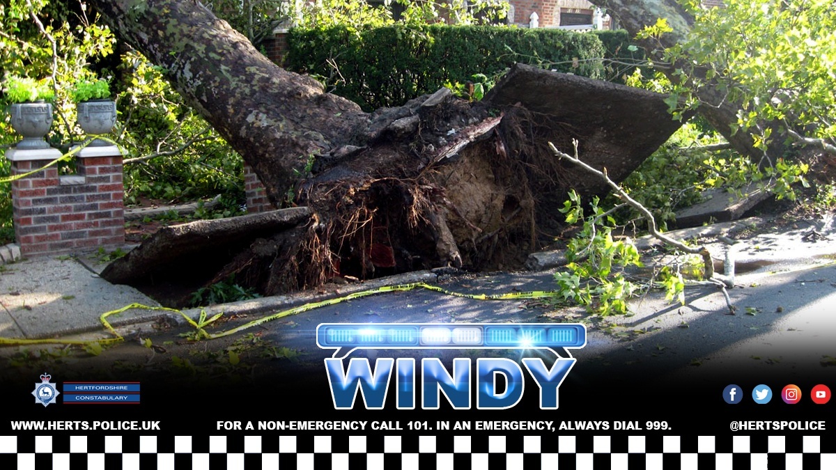 ⚠️ Storm Eunice will bring high winds to #Herts early Friday 18 February.

👉 orlo.uk/xP8am 

👉 Only call 999 only in case of emergency. Report non-urgent matters via orlo.uk/Q6upx

👉 To report a fallen tree, visit orlo.uk/H5X1l

#stormeunice