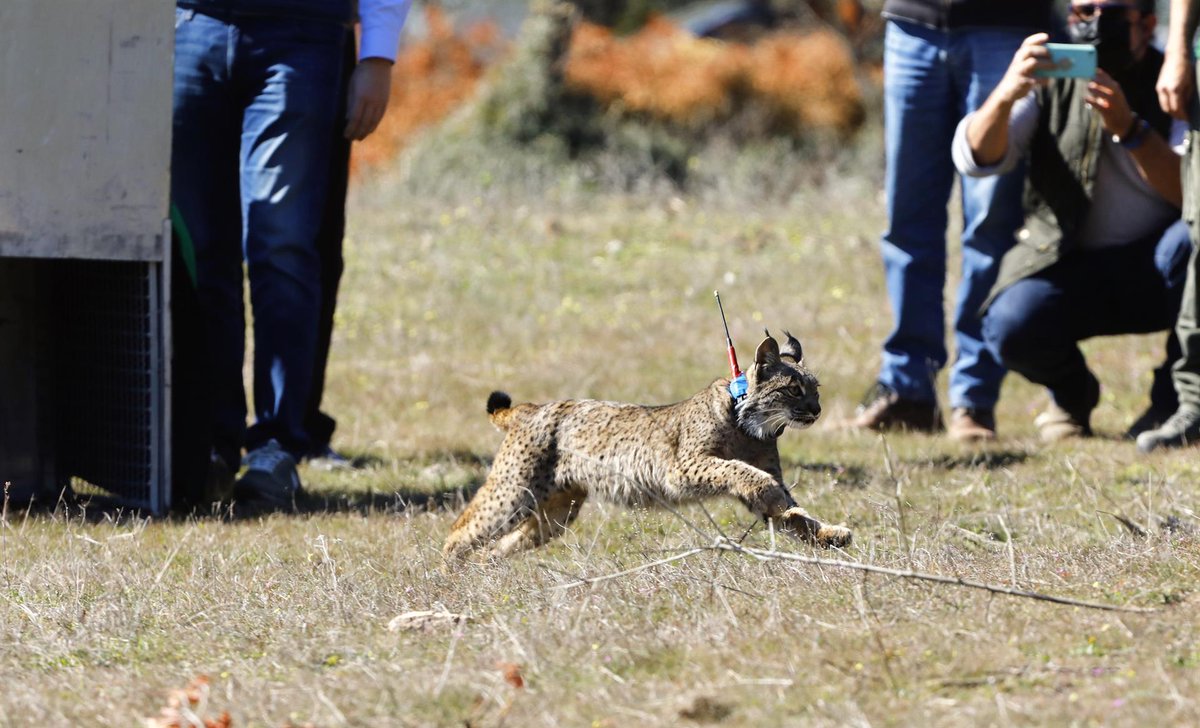 EFEverde tweet media