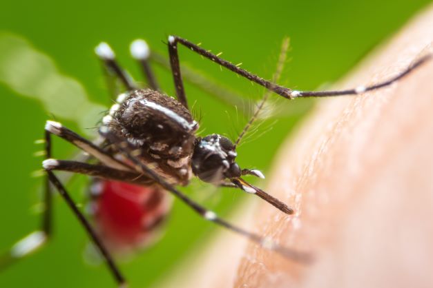 DARPA's tweet photo. Sick of mosquitos? DARPA’s Revector program aims to precisely, safely, and efficiently reduce mosquito attraction and biting to help maintain the health of military personnel operating in disease-endemic regions. https://t.co/RPLTRp4niF https://t.co/zo4Zr76uuT
