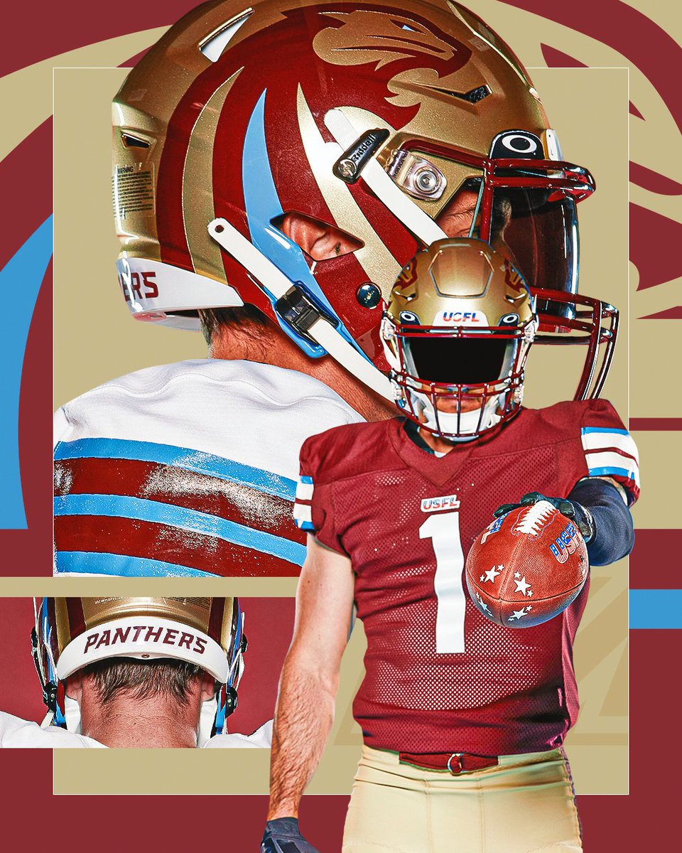 _PanthersUFL's tweet photo. Taking pride in the details 🪡 https://t.co/WHTif4EW7I