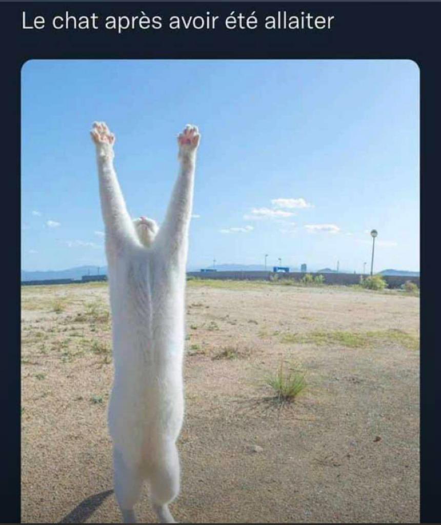 DjoMihigo's tweet photo. @Hamouly_ 🤣🤣🤣🤣😂😂😂😅😭😭 ba kawuseli nga niawu nde boyer 😂 https://t.co/BU2C0LmGxN