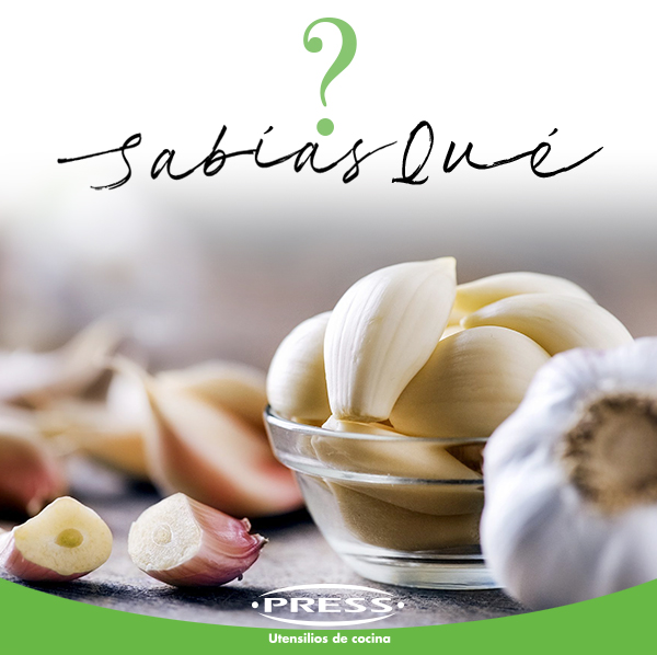 press_lat's tweet photo. #SabíasQué el #Ajo puede variar de sabor, de más fuerte a más suave, dependiendo de la técnica de preparación, si quieres potenciar su sabor debes picarlo muy fino, si lo quieres suave aplástalo, y si lo usas entero, disminuirá aún más su sabor.
#DatoPress #PressLat #TipsPress https://t.co/eVjVQMdkTN