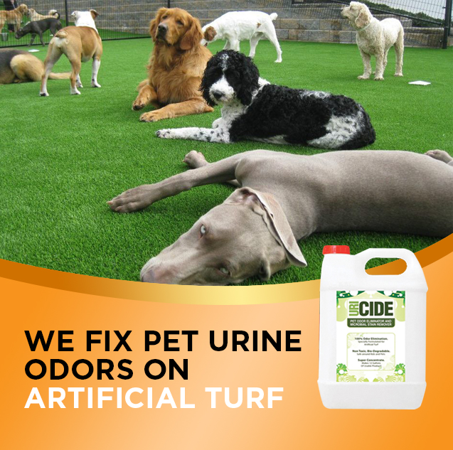 uricidecorp's tweet photo. For the best artificial grass cleaner for dog urine, you need URICIDE. https://t.co/Fj1L0GPwQr
#petrescue #humanesociety #dogcare #dogs #petcare #rescue #rescuecenters #uricide #petadoption #petodors #petodor #lawncare #LawnCareTips #artificialturfinstallation #artificialturf https://t.co/bPt4o9zFoa