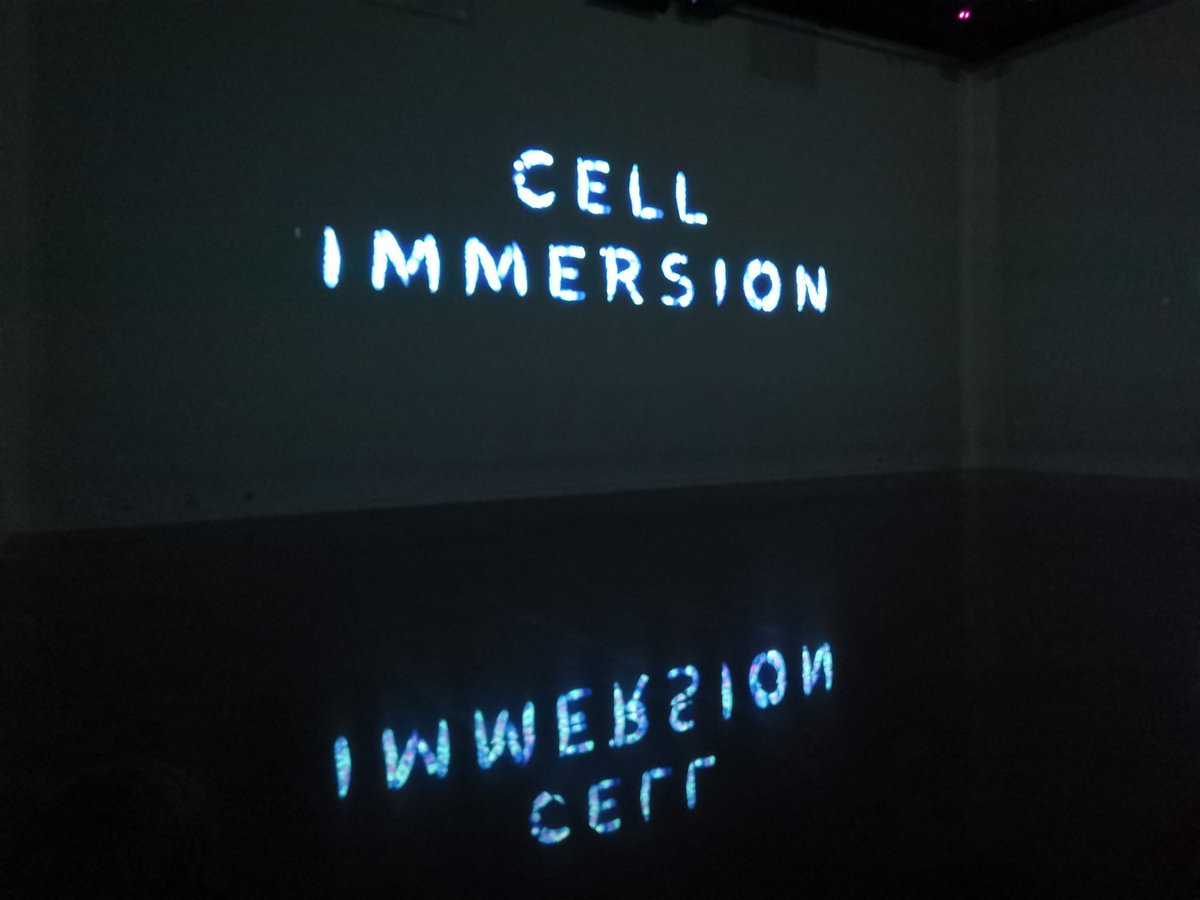 pidasilv's tweet photo. [Expo] #cellimmersion #Exposition #Bordeaux WAOUH ! Quelle poésie, quelle beauté... j'en reviens pas ! Cette expo est extraordinaire ! Images, scéno, musique ❤️❤️❤️ Si vous passez à @Bordeaux allez-y ! 🤯❤️😲 @culturespaces @LePourpre 👏
cc @EloScicomm 😉 https://t.co/SFZgqIKCI8