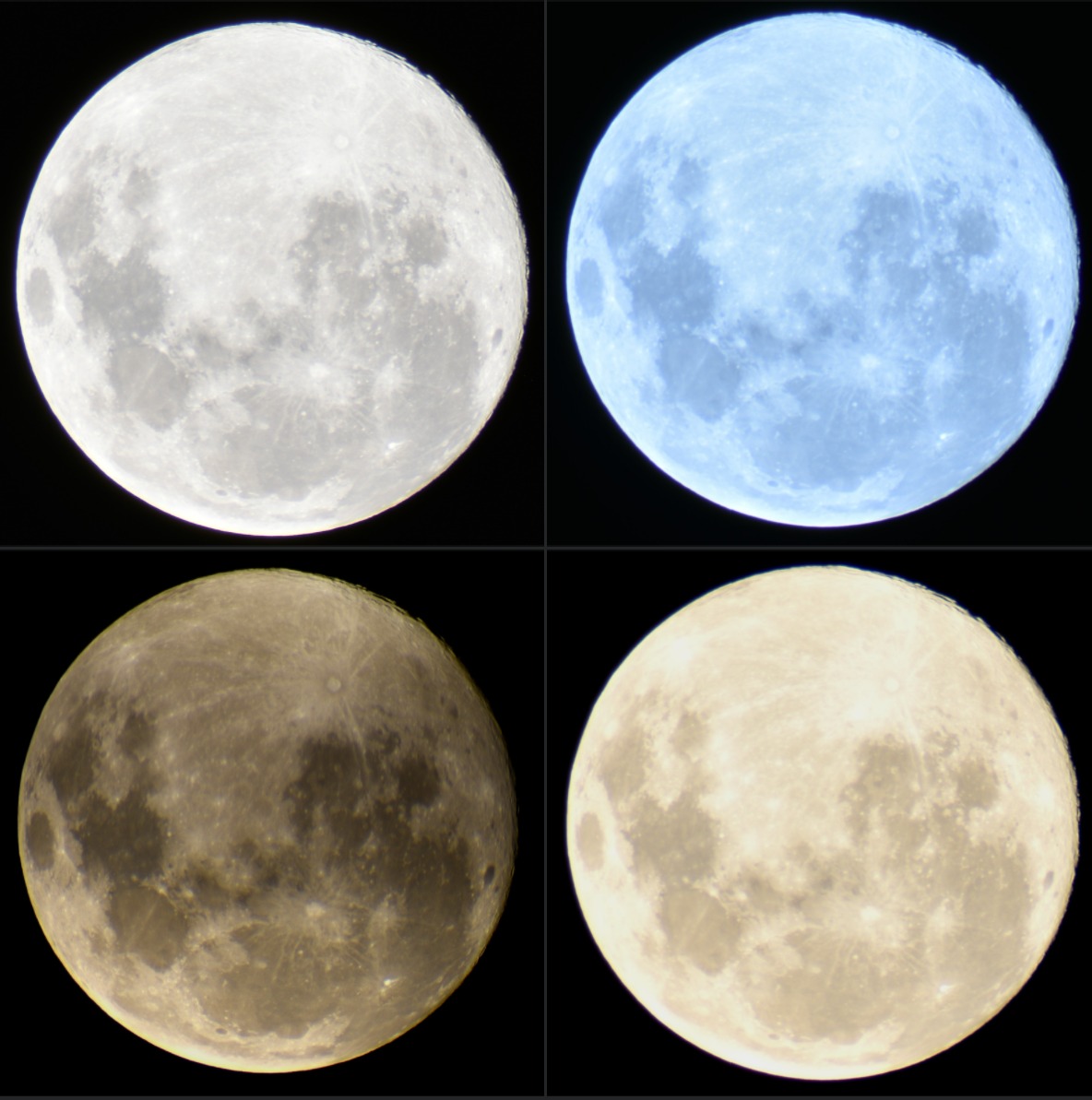 liceo58's tweet photo. Luna Llena (en diferentes balance de blancos)- 15/2/2022
Nikon D3400 + Telescopio Saxon 607AZ
(Apilado de 10 fotogramas con RegiStax 6) https://t.co/bqtDyvqiWw