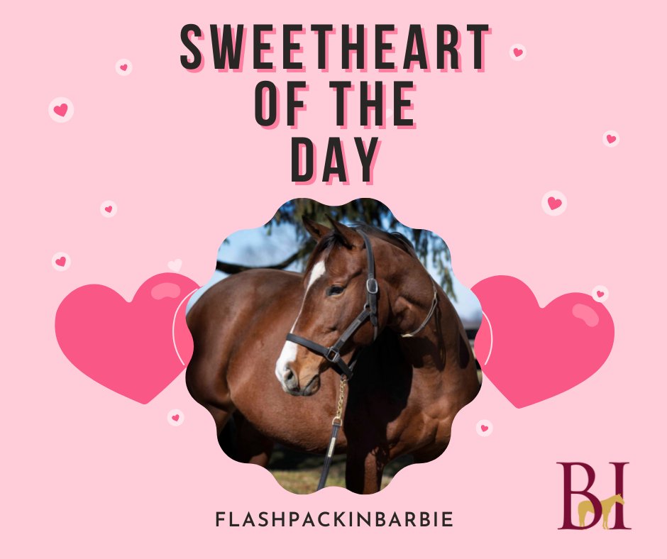 Flashpackinbarbie is a gorgeous daughter of red-hot sire Munnings carrying her first foal by Ghostzapper. We expect her to deliver an early to mid-March foal. She will be bred back to 2021 Grade 1 Forego Stakes winner Yaupon for the 2022 breeding season! <a href="/spendthriftfarm/">Spendthrift Farm</a>