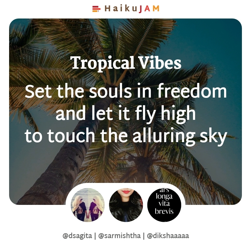 HaikuJAM tweet media