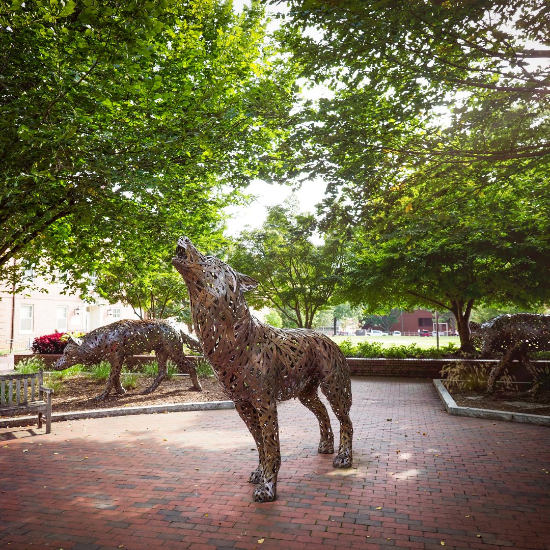 Calling all <a href="/NCStateAlumni/">NC State Alumni</a> that are interested in being a part of the entrepreneurship community at NC State!! 🐺

Sign up for our monthly newsletter to stay UTD on all the news and opportunities for you to be a part of the community or give back.

🚀 ow.ly/o2UT50HUy1n