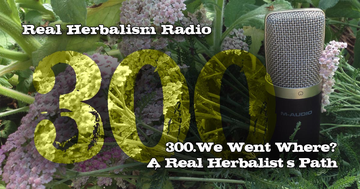 PrctklHerbalist's tweet image. This week, we're celebrating our 300th episode of Real Herbalism Radio!
.
Join us for some stories about the path we've trod, some reflections on our favs, the challenges we met, and the joys we discovered.
.
Listen to Real Herbalism Radio on your fave podcast service.