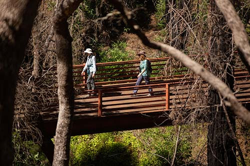Sugarloaf stalwarts, Bill and Dave, are now leading hikes at Sonoma County Regional Parks.    Join them this Saturday at Mark West Creek Regional  Park.   Unless you are coming to Sugarloaf ;)

parks.sonomacounty.ca.gov/Play/Calendar/…