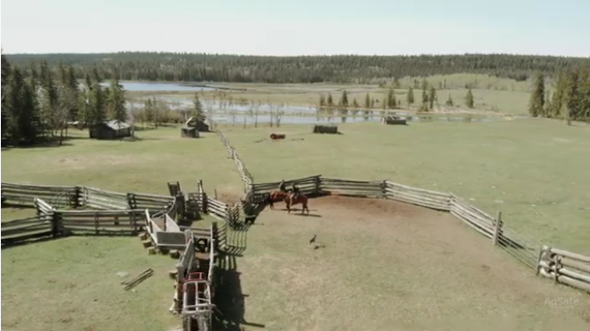 AgSafeBC's tweet photo. We’ve updated our Beef Cattle Handling Facilities Inspection videos with more detail and guidance. Well-maintained and carefully planned handling facilities make work environments safer and more efficient.
Video: https://t.co/AWZr3e35Og
#BCranching #farmsafety #workplacesafety https://t.co/PkEd9Fm9bV