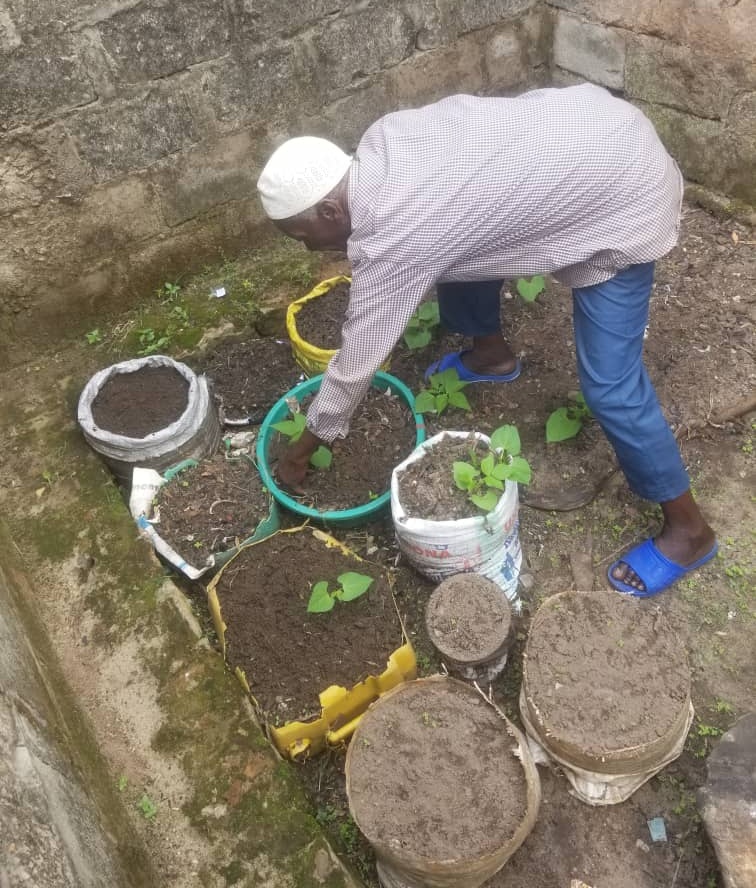 Wazee 11 wanaopatikana kwenye Mtaa wa Nyamkazi, Kata ya Miembeni, Bukoba Manispaa leo kwa wameanzisha Bustani za MbogaMboga kwenye Kaya zao. #LisheBora