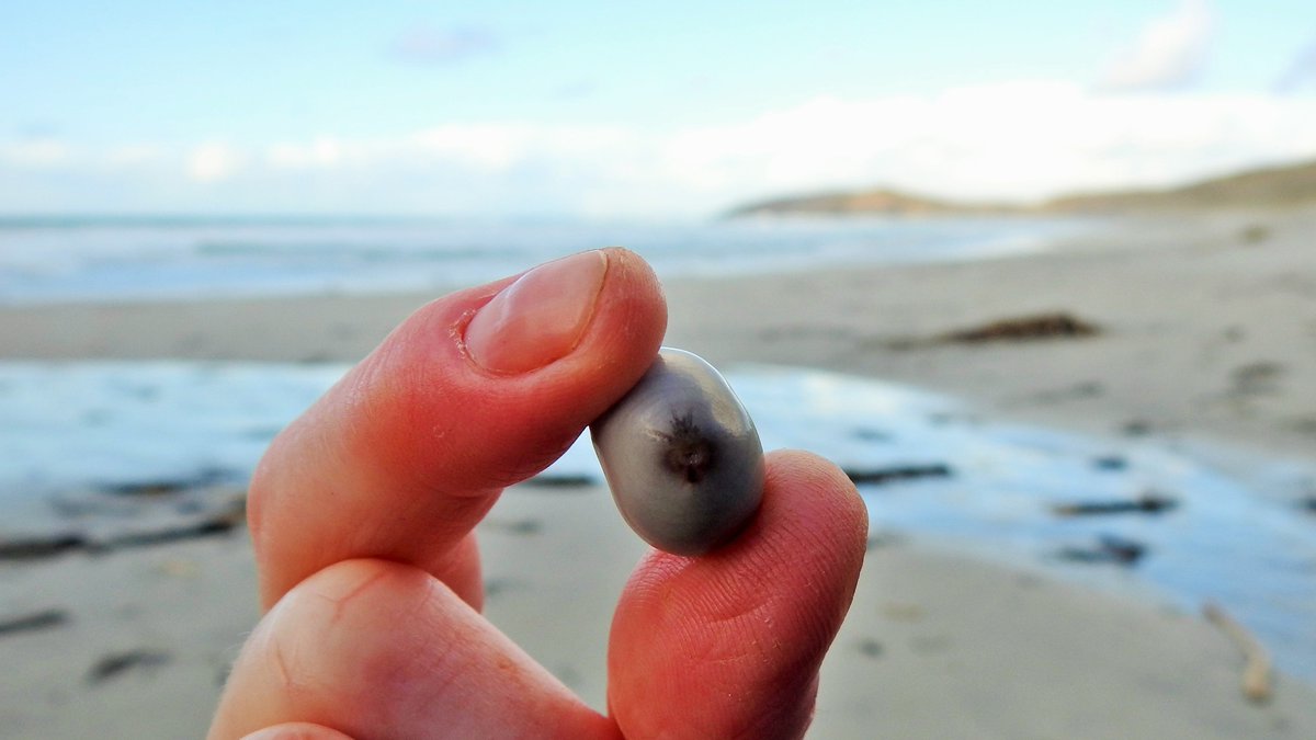 Bruce Taylor tweet media