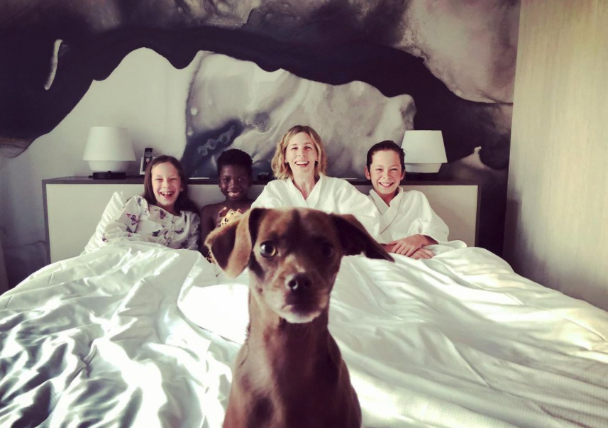 Need last minute plans for the Family Day weekend? Don't forget to bring your best furry friend along!

Did you know our hotel is pet friendly? Finley had THE BEST staycation with his family 🐕

📷 <a href="/AmyBeeman/">Amy Beeman</a>