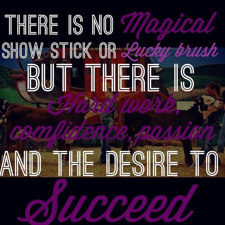 We are very proud of all of our lamb, goat, and heifer exhibitors that represented Leander FFA at the San Antonio Livestock Show.