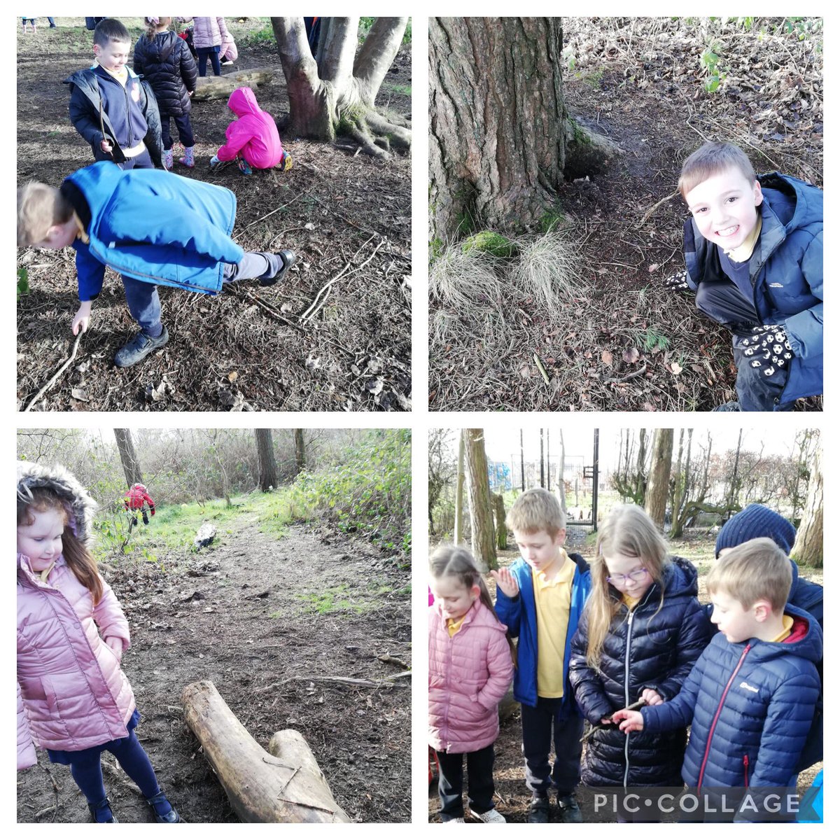 MurrayPrimaryEK's tweet photo. On Friday room 2 made some art in the forest using things we could find #forestwork #outdoorlearning https://t.co/rewHw16ngV