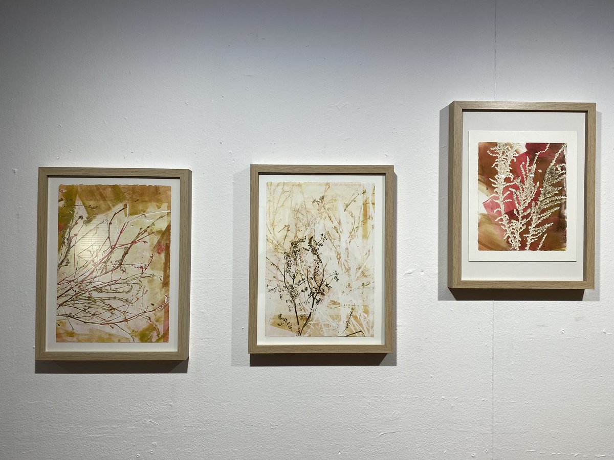 RadioTarrega's tweet photo. #ARAMATEIX a la Sala Marsà de #Tàrrega s’inaugura l'exposició d'art '#SOCCUGULA' de Núria Costa. Oberta del 17 de febrer fins al 13 de març https://t.co/YnnK8zbVe9