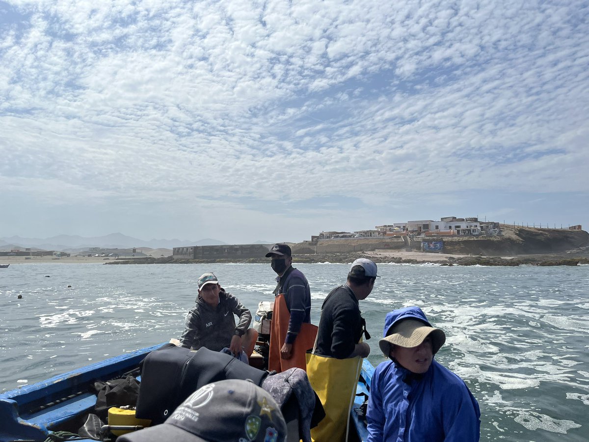 DanSmale1's tweet photo. Day 5 of @KELPER_Project field trip in Peru. Really nice site with extensive forests. Plus the fisherman/skipper cooked the most incredible fresh cerviche and fish/rice lunch. Topped off with lush sunset. Absolute scenes 🇵🇪 🌞 🌊 https://t.co/fJXXFnLYhU