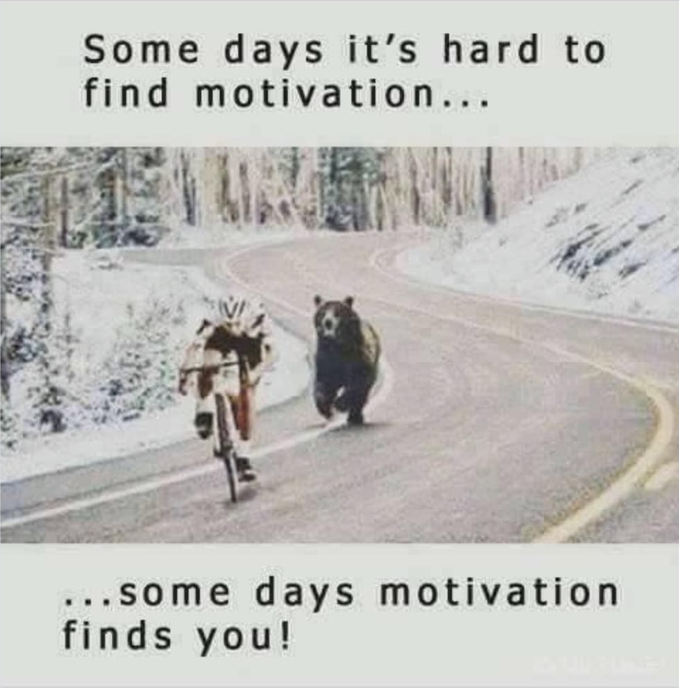 core_furniture's tweet photo. May today be one where your motivation is easy to find and one where success finds you!
#Motivation #Success #LaughaLittle #LiveaLot #CORE #GetMorewithCORE #Tucson #Arizona #Nationwidewide #Worldwide https://t.co/gIh1Q2pz5n
