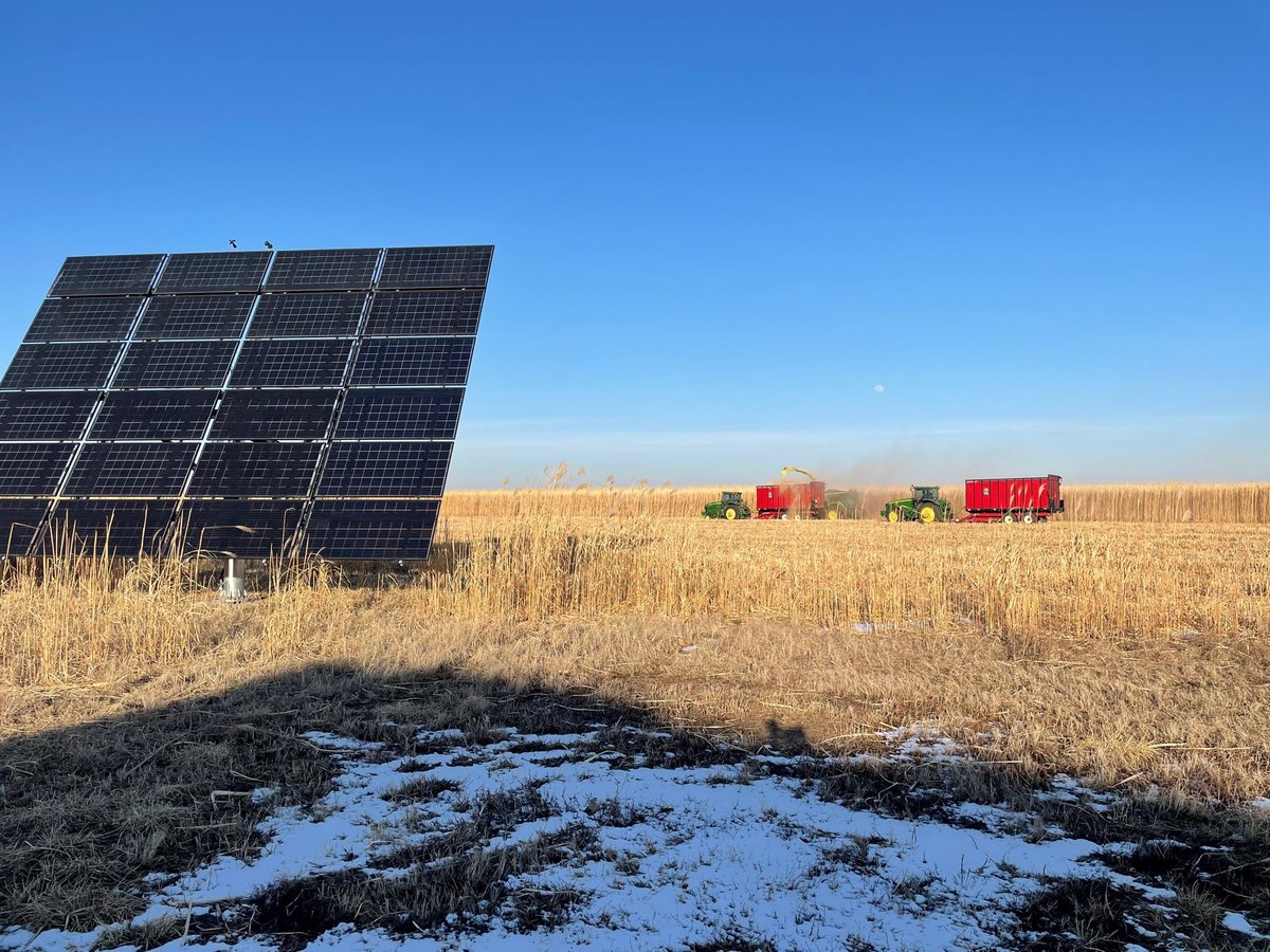 Commercial Miscanthus harvest happening now in Eastern Iowa! Really cool to see a conventional livestock operation, solar panels, and next gen biofuel feedstocks all in the same field. Welcome to Iowa! 

Photo credit: Travis Hedrick, AGrowTech

#ThisIsIowa #Bioenergy