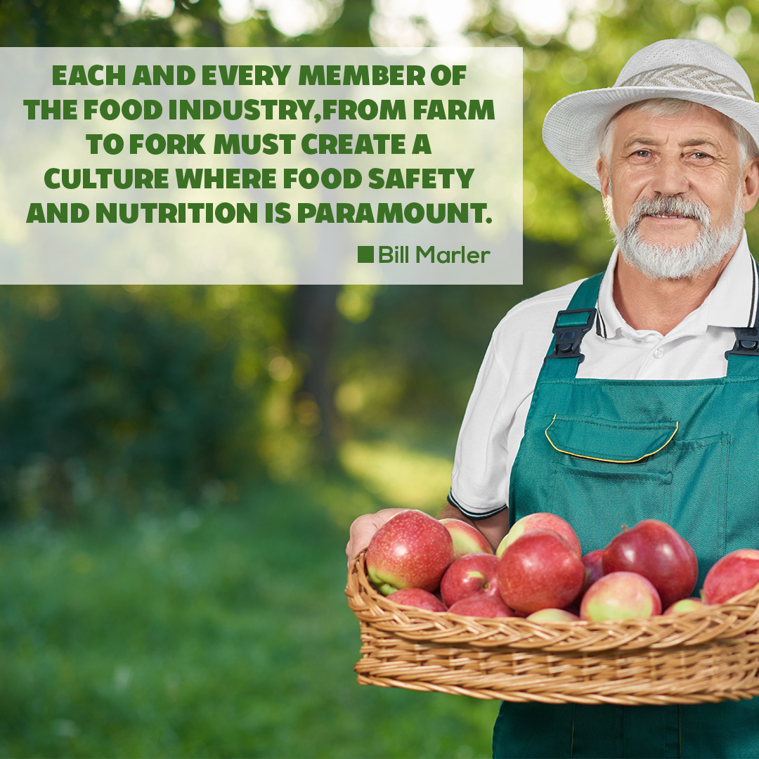 человек с корзиной овощей. хороший урожай яблоко порадовали фермеров и торговцев. женщина в теплице с помидорами. дедушка собирает урожай. женщина собирает томаты.