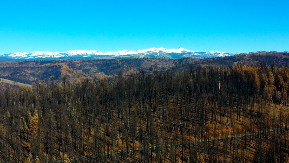 ghansenphotog's tweet photo. With La Nina conditions continuing in #California, let's talk about something we shouldn't be in February: #wildfires. Why conservationists, foresters, and @CALFIRE_PIO say thinning forests can save communities. 
https://t.co/0wRlIGW8sQ https://t.co/jGJDOQPelM