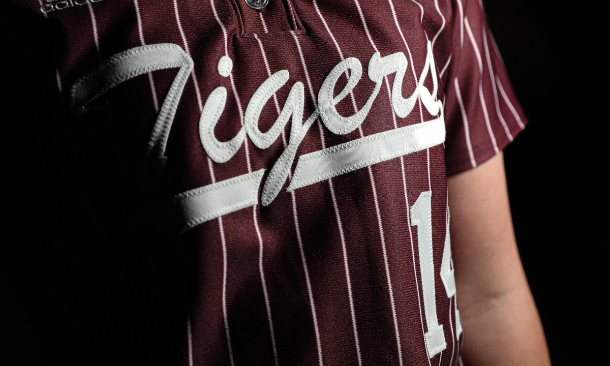 LadyTigerSoftball tweet media