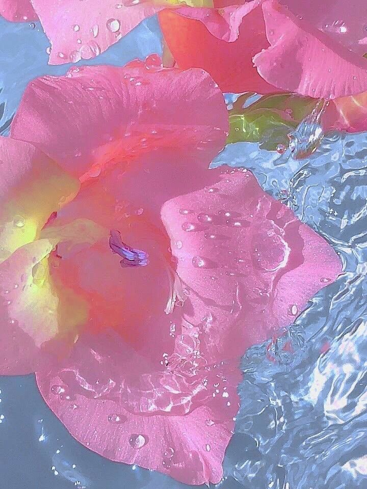 athvna's tweet photo. love in the water https://t.co/LYimDNj3TR