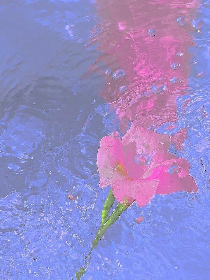 athvna's tweet photo. love in the water https://t.co/LYimDNj3TR