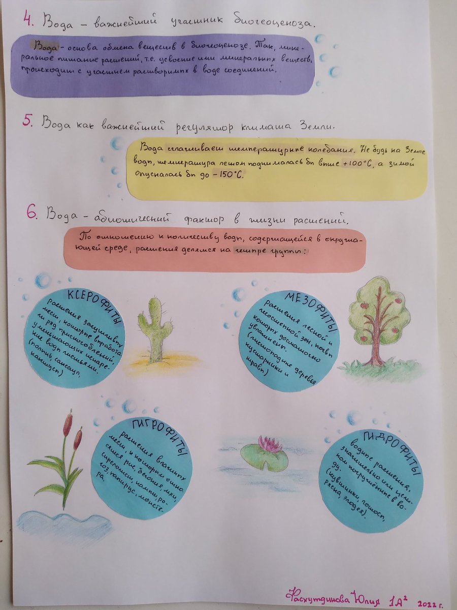 Коряво, но мило. Конспект по естествознанию :) 🌿🌺🌼