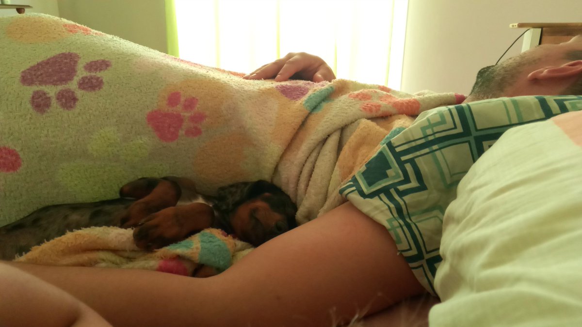 Nico: no quiero al perro durmiendo en la cama. El perro en el piso. 

Unos meses después.. 😂😁