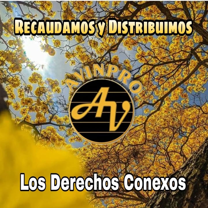 #RecaudamosDerechosConexos 
#AVINPRO