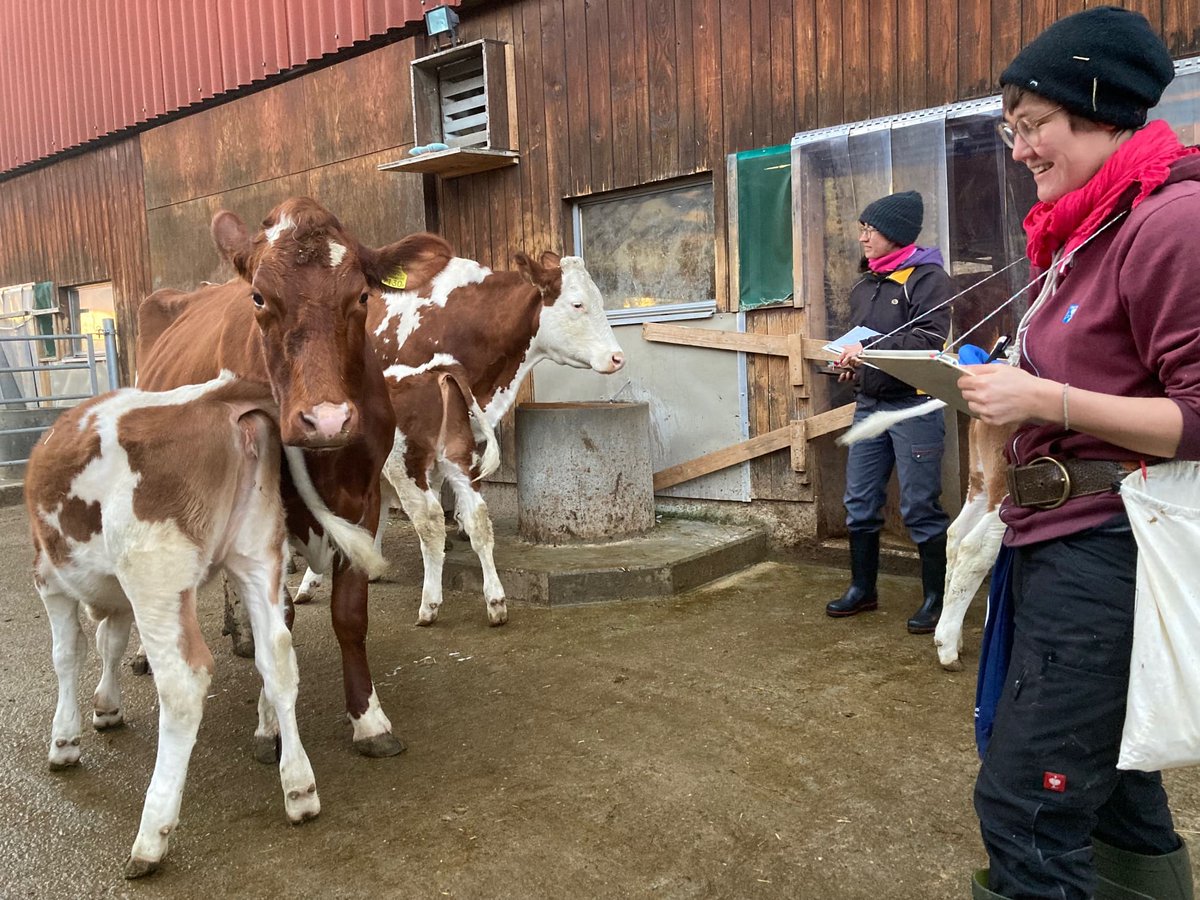 Heute war ein Team von <a href="/Agroscope/">Agroscope</a> und der Fachstelle MuKa auf einem Cowpassion-Hof zu Besuch, um Daten zu erheben. 

Mutter-Kalb-Haltung in der Milchproduktion (MuKa) ist ein effektiver Approach für eine bessere Kälbergesundheit. Schön, dass dazu geforscht wird.

#OneHealth <a href="/BLV/">Anna Nerezova</a>