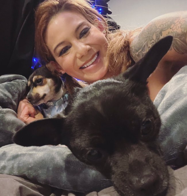 No such thing as to many puppies ❤️ https://t.co/bX683CVh2w<a href="/tag/vamplife"class="tags"><span>#vamplife</span></a>