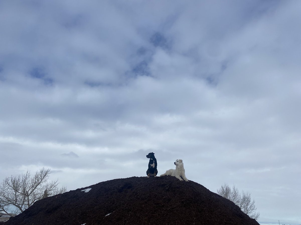 Realign & shine tweet media