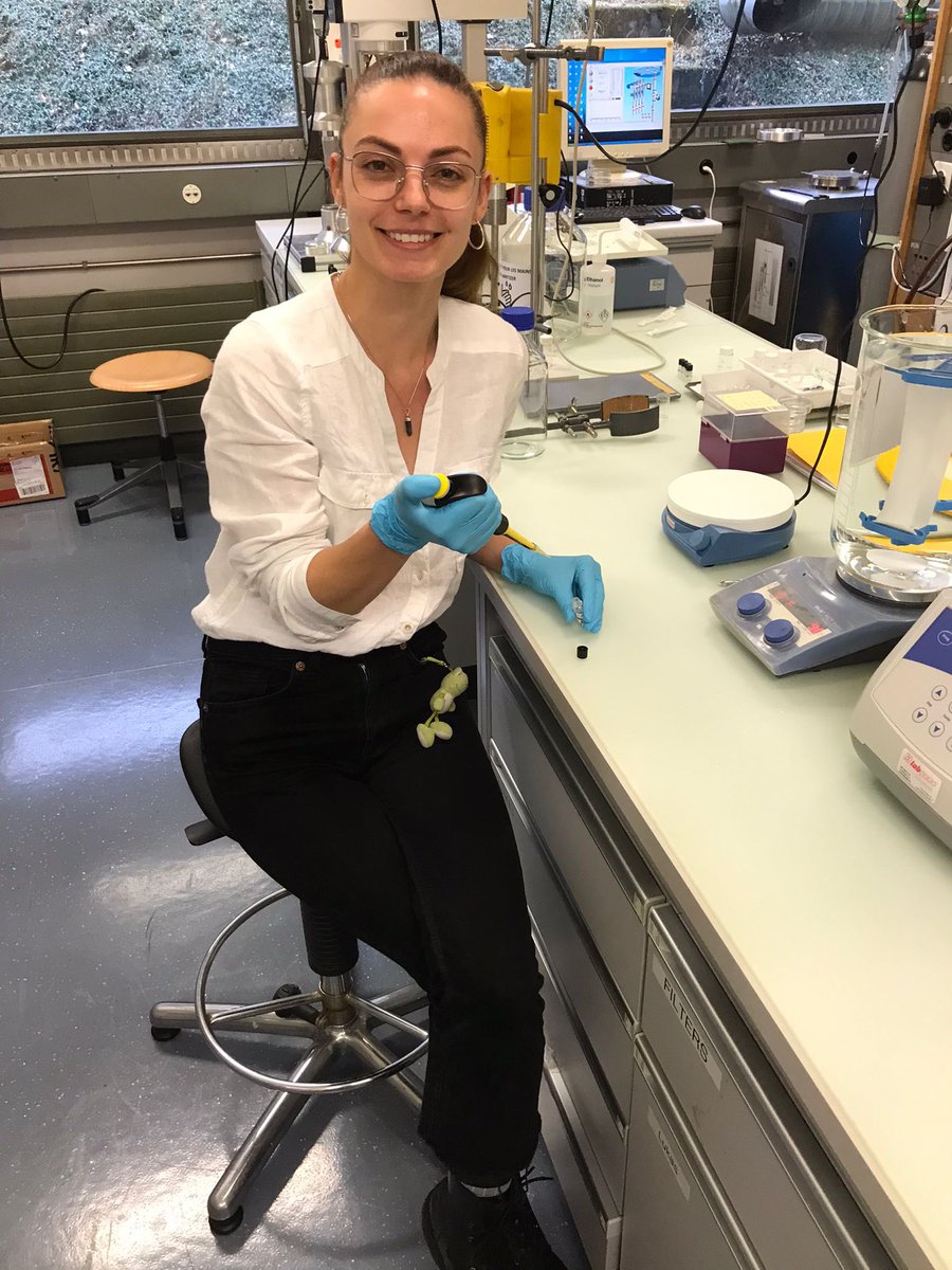 SuperCol_ITN's tweet photo. ESR 10 ➡️ Xhorxhina Shaulli
 
She works with prof. Frank Scheffold @unifr
 
Xhorxhina investigates porous, responsive #polymer particles with super resolution techniques for potential biomedical applications. ⬇️ https://t.co/gsayMUZhV9