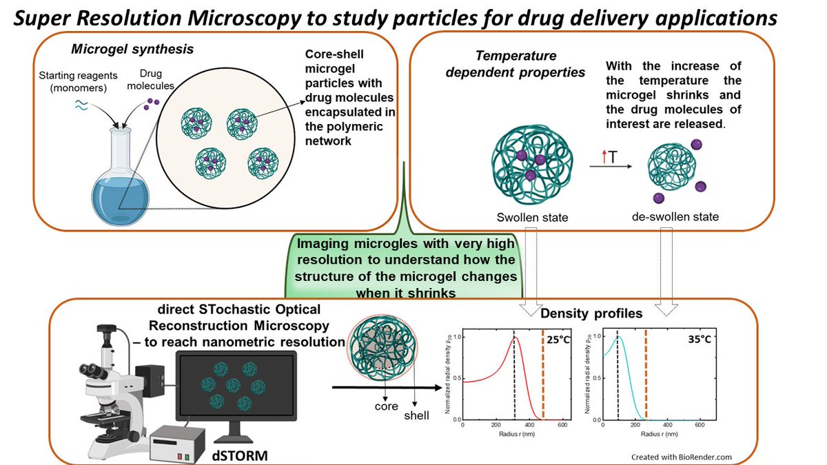 ESR 10 ➡️ Xhorxhina Shaulli
 
She works with prof. Frank Scheffold <a href="/unifr/">Uni Fribourg</a>
 
Xhorxhina investigates porous, responsive #polymer particles with super resolution techniques for potential biomedical applications. ⬇️