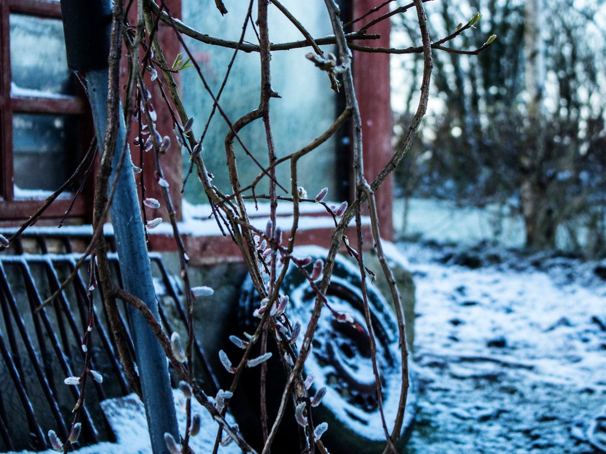 AlrightGeezNFT's tweet photo. A collection of 3 x 1:1 photographs from the Beast from The East. 
Ireland 2018 

#nft #nftphotgraphy #photography #NFTs 

https://t.co/M6gk03XgFf https://t.co/QqDwNIVxpn