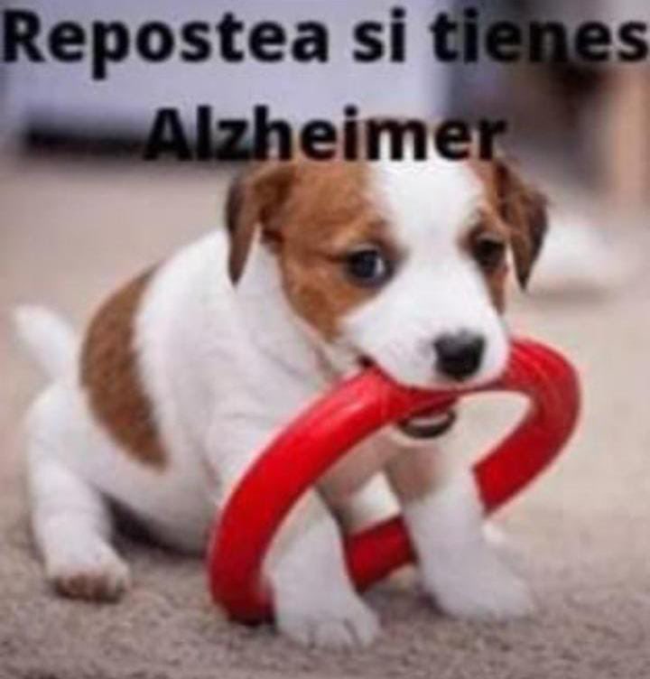 onemasvoice's tweet image. 